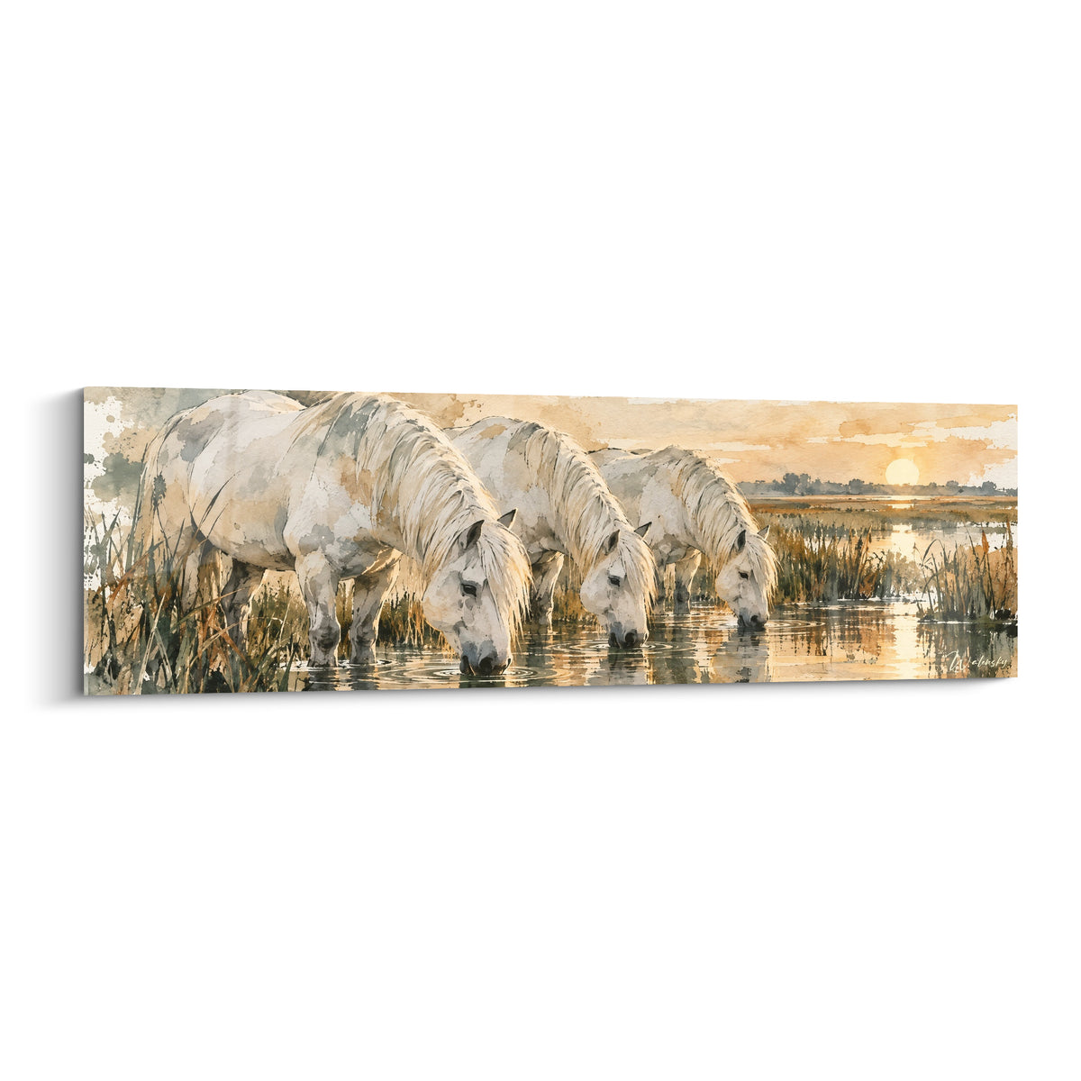 Tableau Cheval de Camargue blanc s'abreuvant, crinières grises, lumière dorée du couchant sur le marais