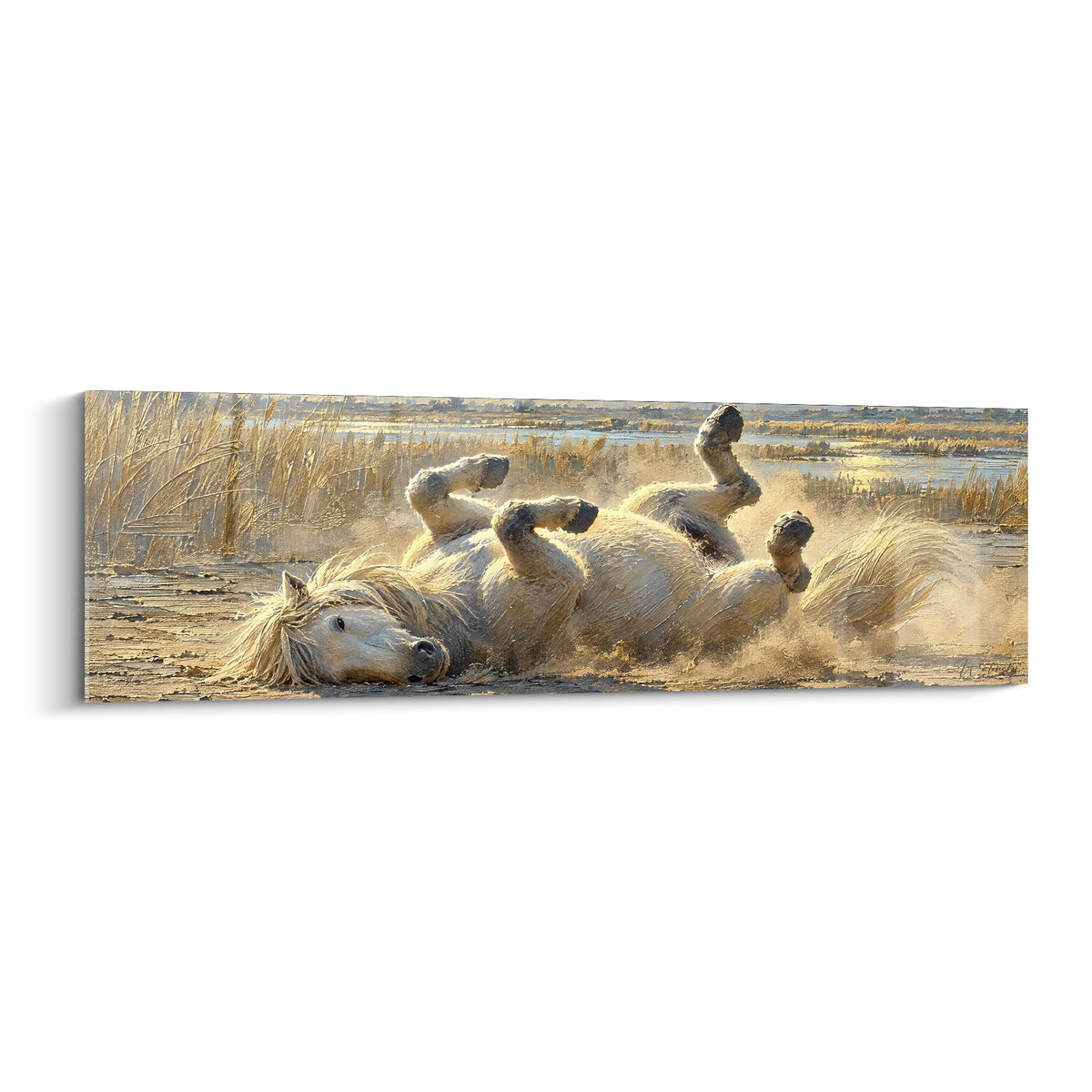 Tableau cheval de Camargue blanc roulant dans la poussière dorée et ocre d'un marais