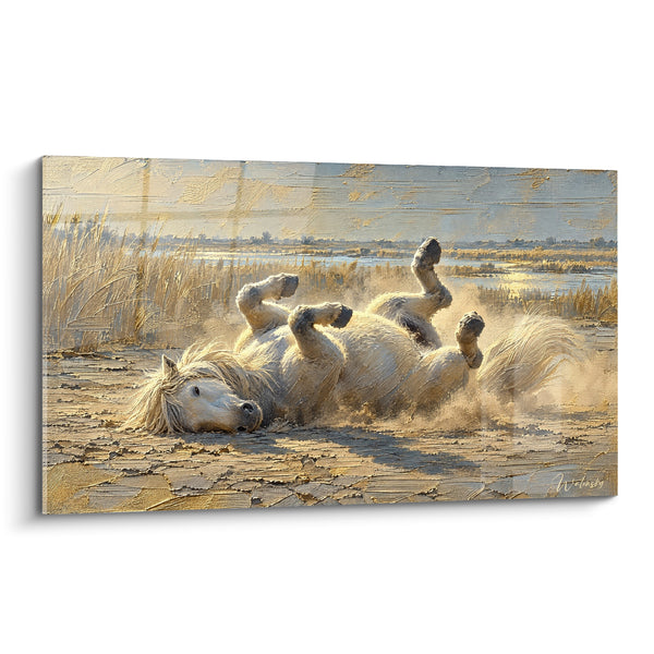 Tableau Cheval blanc doré se roulant dans la poussière - Culbute dans le sable - Edition Cheval de Camargue