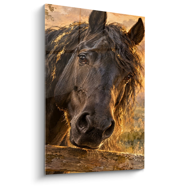 Tableau Cheval noir à crinière dorée - Repos au crépuscule - Edition Cheval Frison