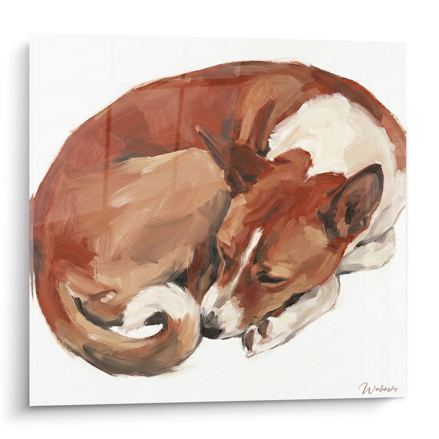 Tableau Chien Roux Endormi en Position Circulaire - Sérénité Canine - Edition Basenji