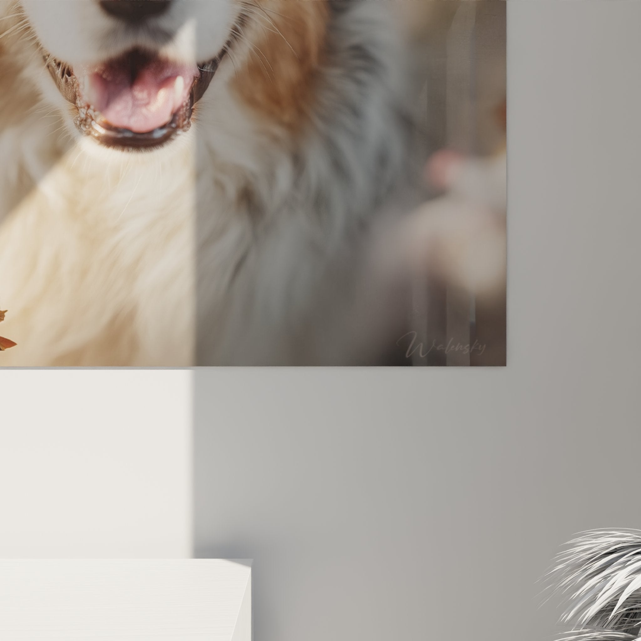 Gesamtansicht Australian Shepherd Gemälde Kirschblüten moderne Innenraumdekoration weißer Wand natürliche sanfte Atmosphäre