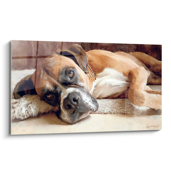 Cuadro de Perro Boxer Tumbado en Tonos Dorados - Reposo Tranquilo - Edición Boxer