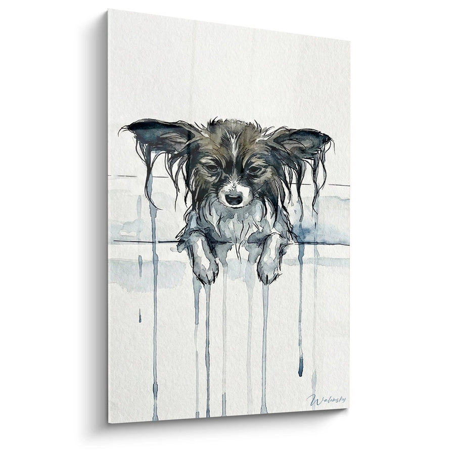 Tableau Chien Papillon Trempé aux Couleurs Dégoulinantes - Émotion Aquarelle - Edition Chien Papillon