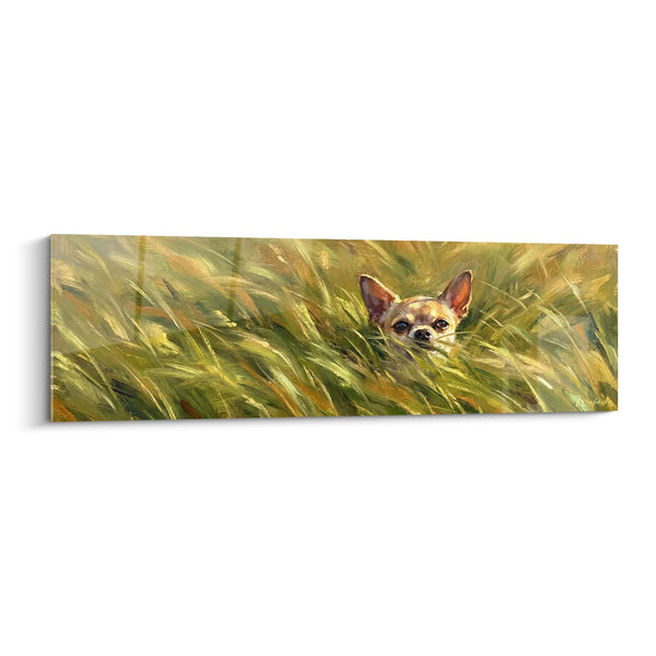 Chihuahua-Bild in goldenen Gräsern - Zarter Blick - Ausgabe Chihuahua-Bild