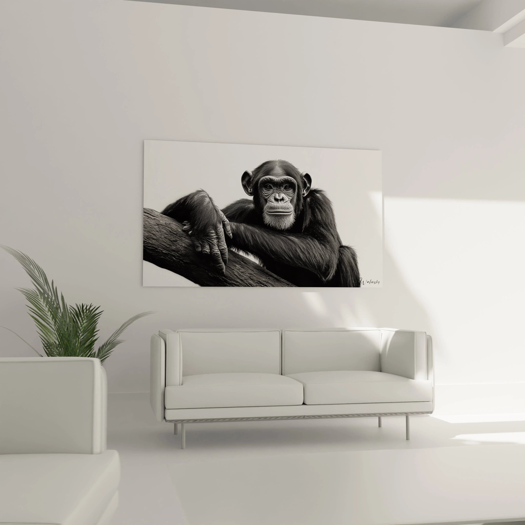 Un tableau artistique abstrait illustrant un portrait rapproché de chimpanzé en noir et blanc, mettant en évidence les détails tactiles de sa peau et de sa fourrure, avec une composition centrée sur l'expression contemplative de l'animal.

