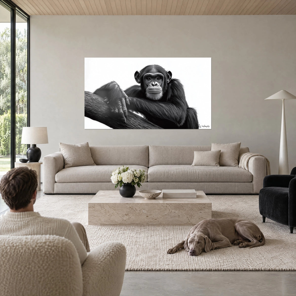 Tableau chimpanzé pensif en noir et blanc, bras croisé sur une branche, fond blanc, un Weimaraner gris couché au-dessus d'un canapé dans un salon lumineux