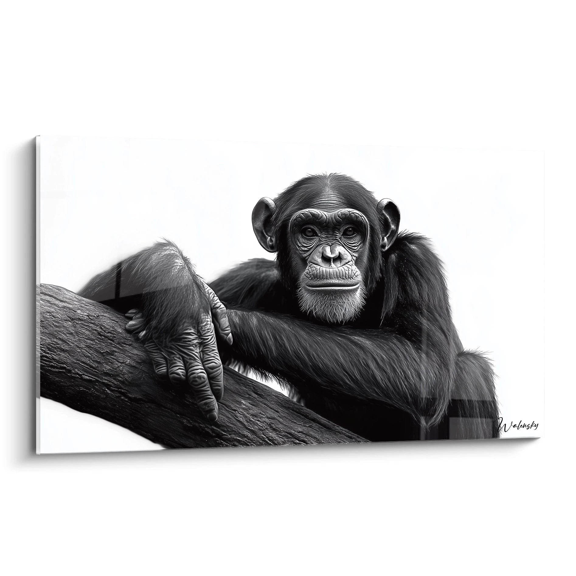 Un tableau artistique abstrait représentant un chimpanzé au regard expressif en noir et blanc, montrant un singe aux traits détaillés posé sur une branche, avec des textures réalistes de fourrure et une profondeur remarquable dans les contrastes.
