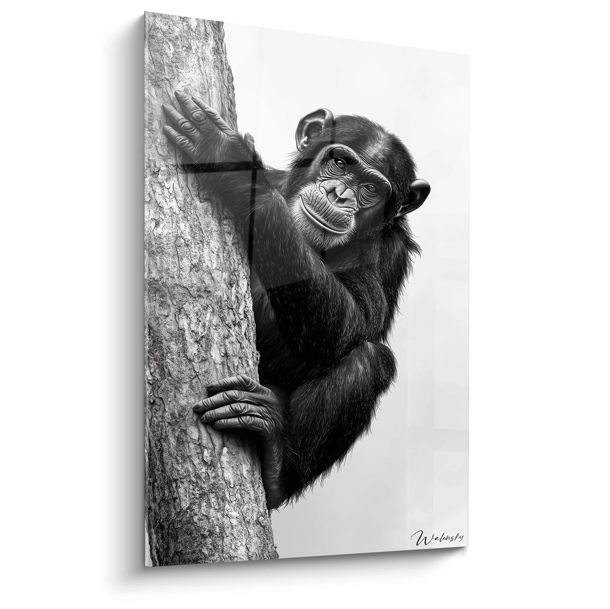 Un tableau artistique abstrait montrant un jeune chimpanzé en noir et blanc s'agrippant à un tronc d'arbre texturé. L'image capture les détails précis du pelage, les yeux expressifs et la main tactile du primate sur l'écorce rugueuse.
