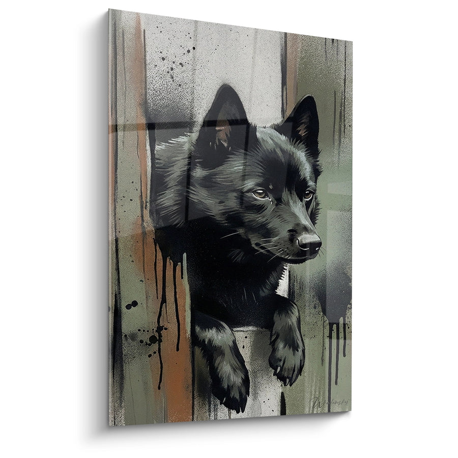 Tableau Chiot Noir et Gris Style Graffiti Urbain - Regard Intense - Edition Schipperke