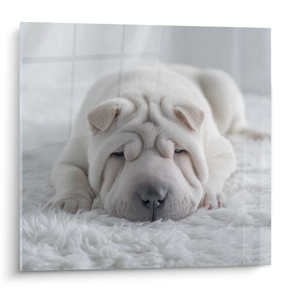 Obraz Szczeniaczka Shar Pei Kremowego Śpiącego na Białej Sierści - Nieskończona Delikatność - Edycja Shar Pei
