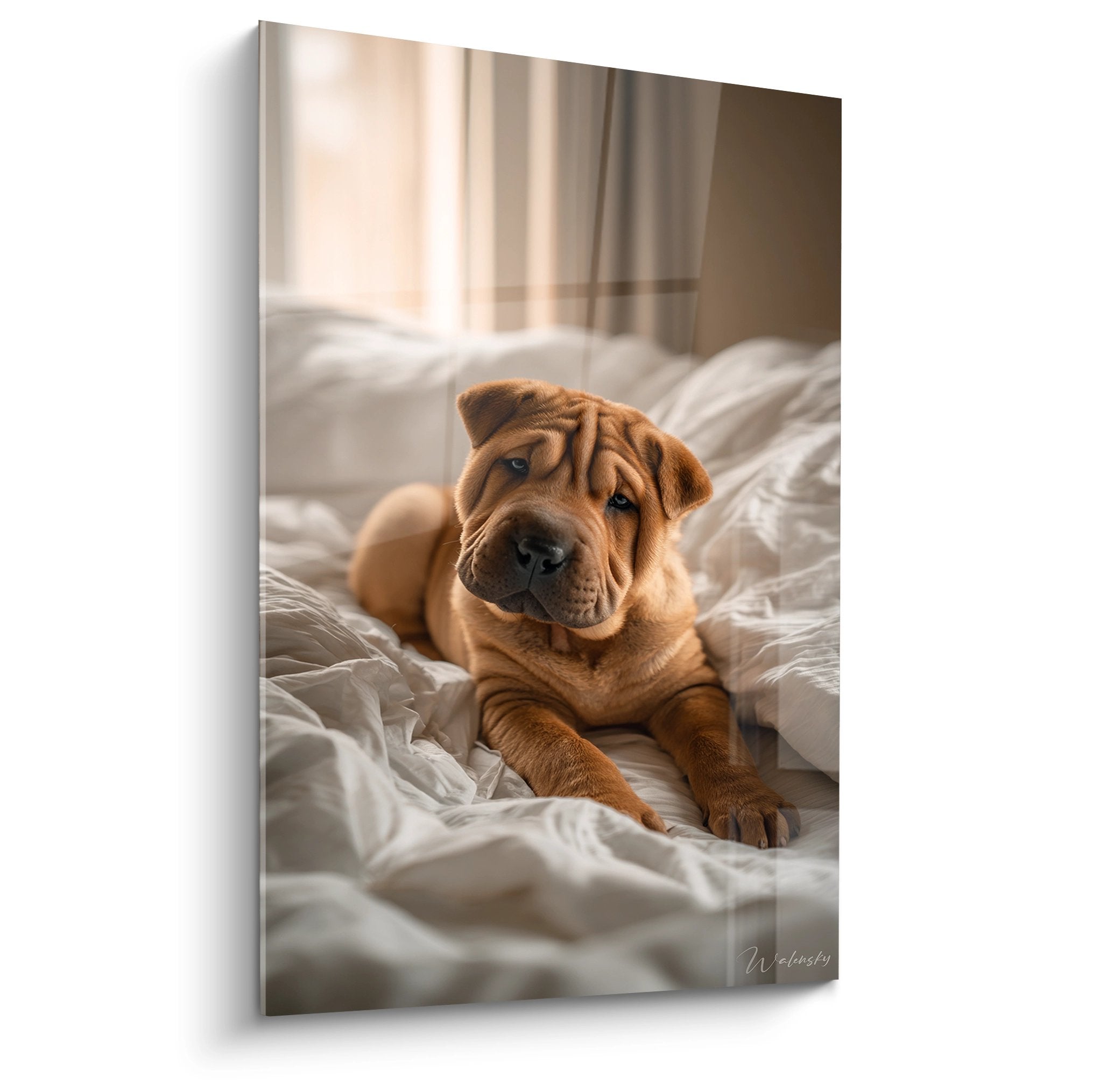 tableau chiot shar pei roux allonge linge blanc regard pensif decoration murale