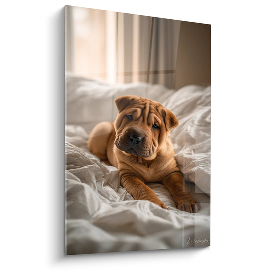 Gemälde Shar Pei Welpe rotbraun auf weißer Bettwäsche liegend nachdenklicher Blick Wanddekoration