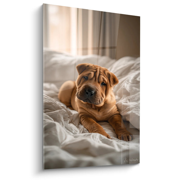 Cuadro de Cachorro Shar Pei Rojo sobre Ropa de Cama Blanca - Tierna Mañana - Edición Shar Pei