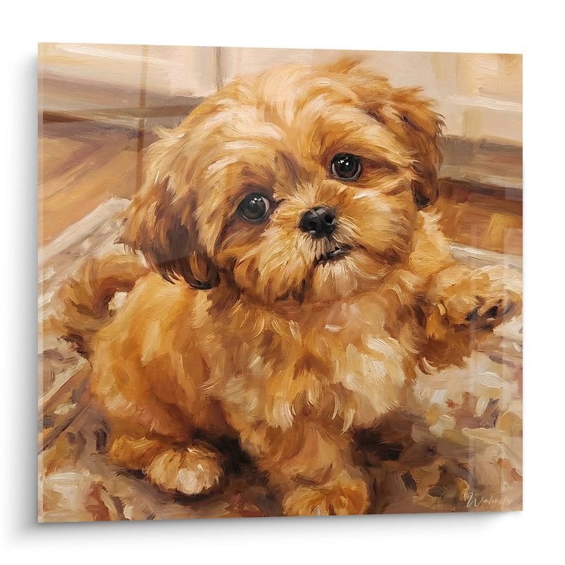 Quadro Cucciolo Shih Tzu Dorato dagli Occhi Teneri - Dolcezza Canina - Edizione Shih Tzu