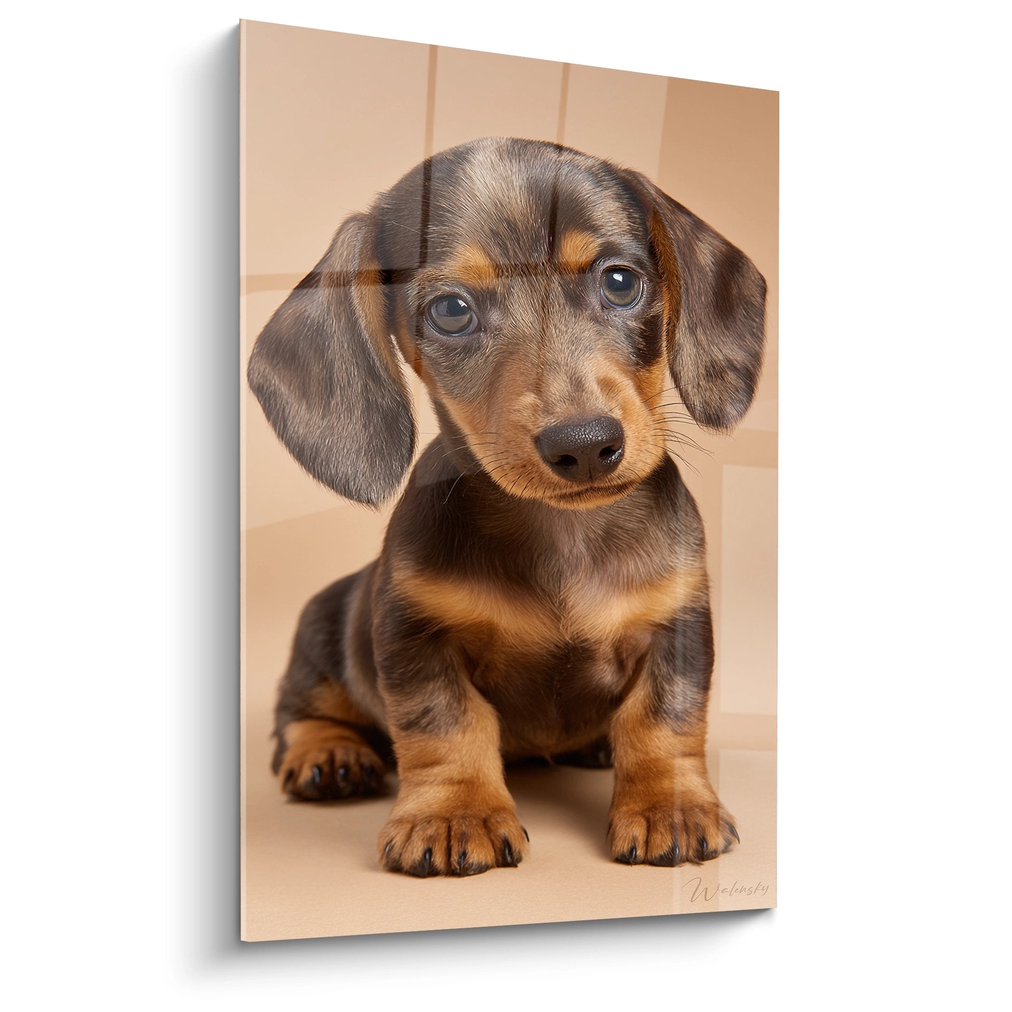 Tableau portrait chiot teckel yeux bleus pelage brun caramel fond beige art mural canin