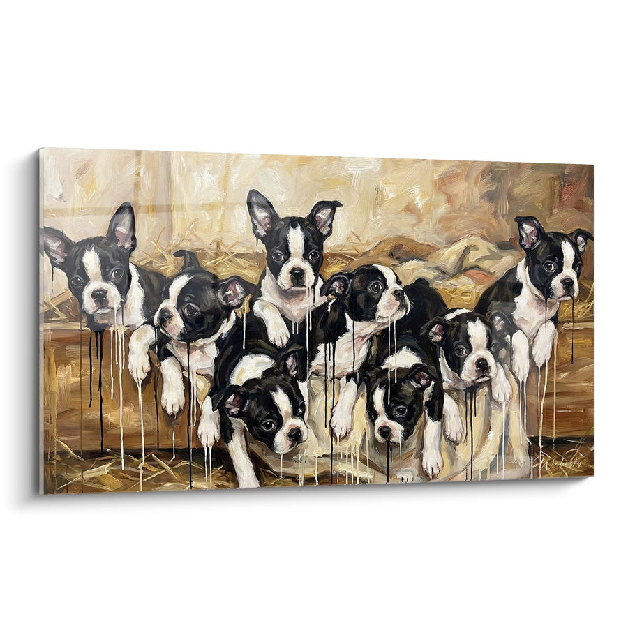 Tableau Groupe de Chiots Boston Terrier Noir et Blanc dans un Panier - Tendresse Canine - Edition Boston Terrier