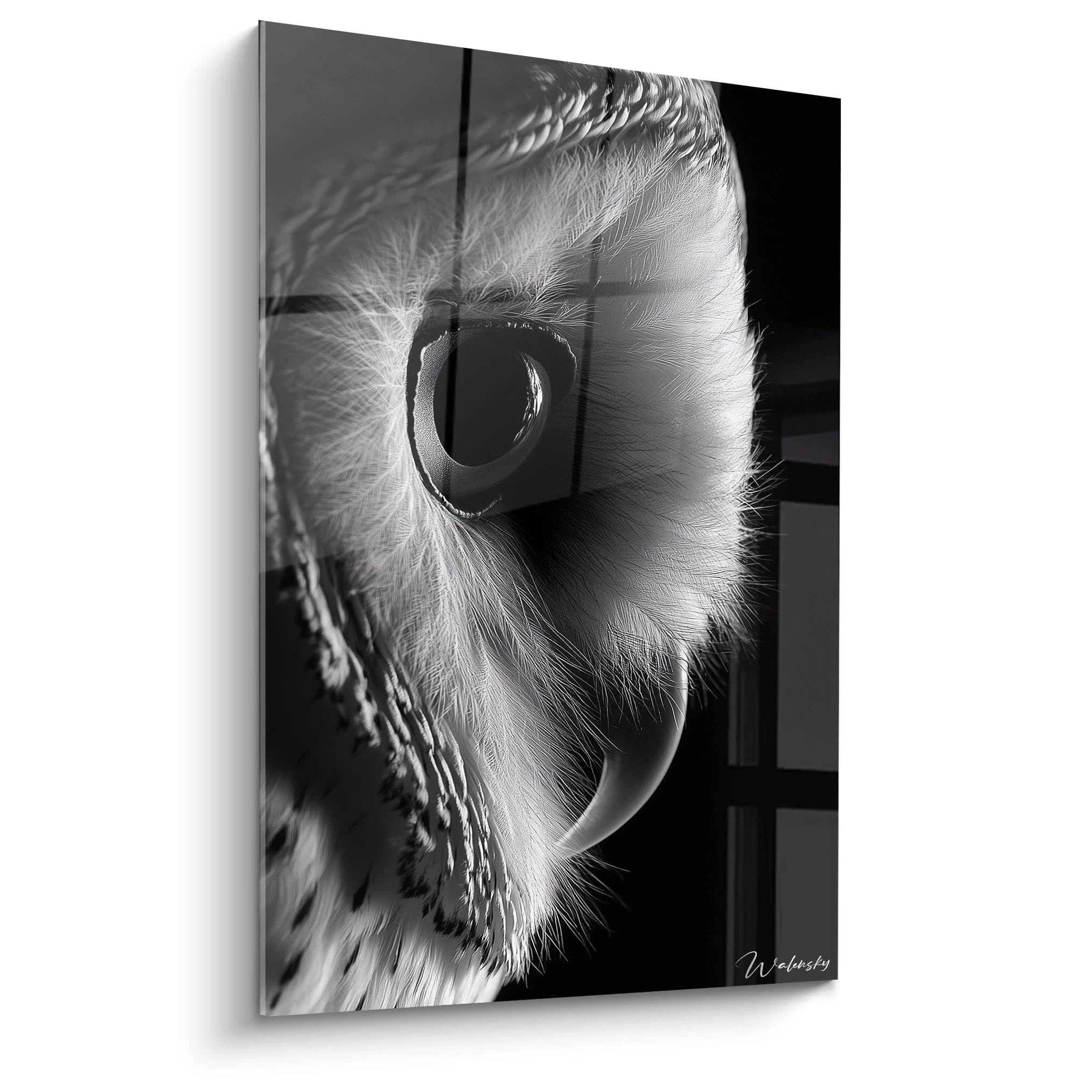 Tableau œil d'animal Walensky en noir et blanc représentant le regard intense d'une chouette