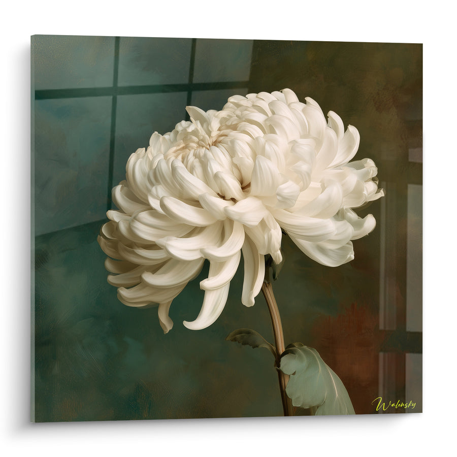 Gemälde Weißer Chrysantheme mit gebogenen Blütenblättern - Florale Ehrfurcht - Chrysanthemen-Edition