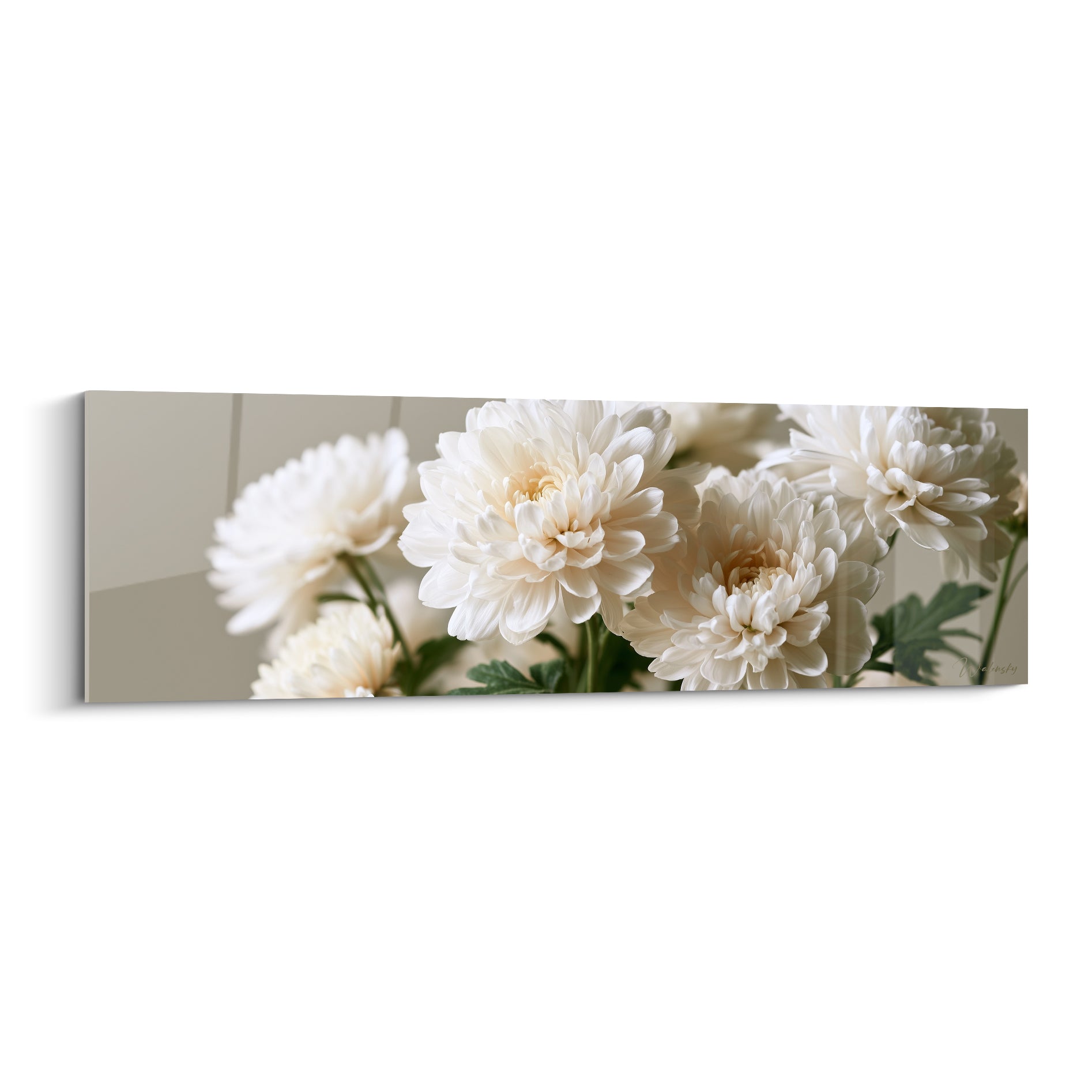 Chrysanthèmes blancs et ivoire aux pétales denses sur fond gris taupe flouté