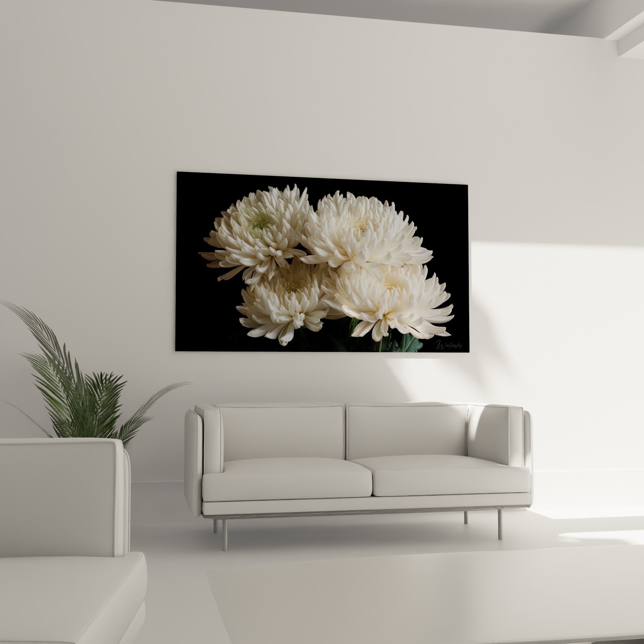 Fleurs de chrysanthème blanches à cœur doré accrochées au-dessus d'un canapé dans un salon lumineux