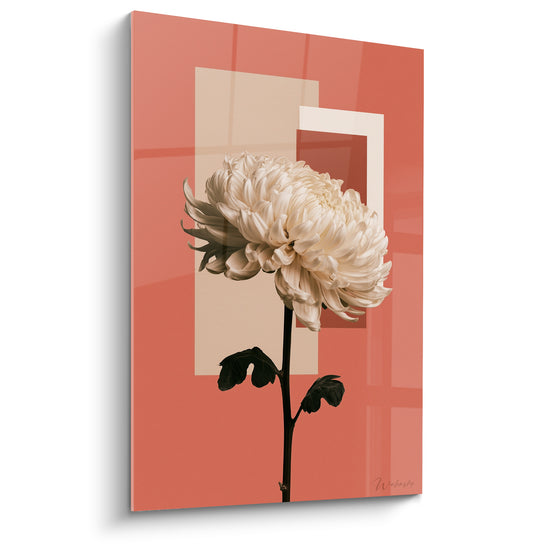 Quadri Chrysanthème Bianco su Sfondo Terracotta Geometrico - Fioritura Silenziosa - Edizione Chrysanthème