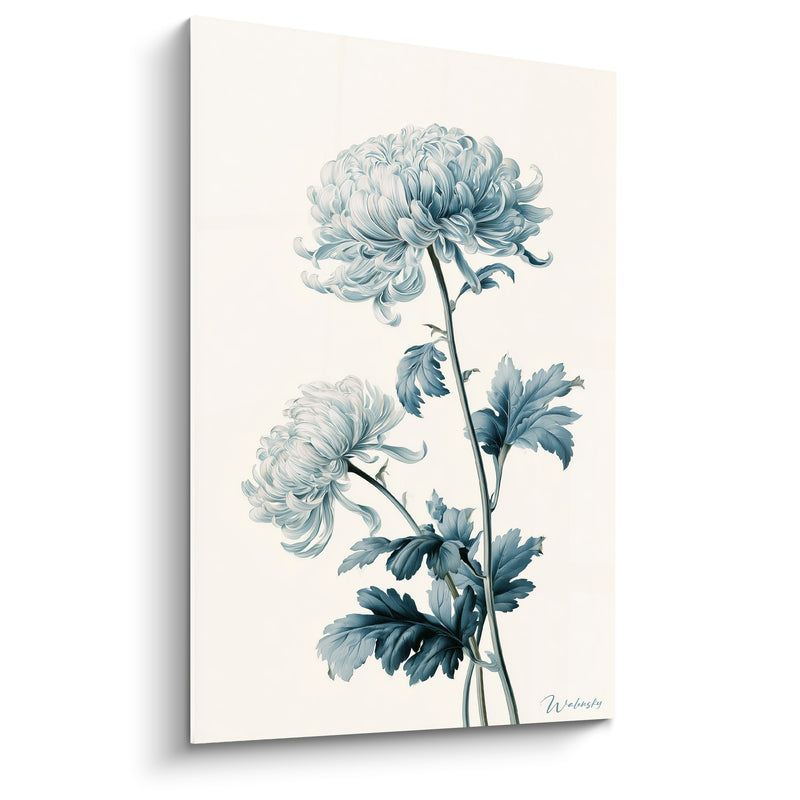 Tableau Chrysanthème bleu poudré et feuillage anthracite - Grâce botanique - Edition Chrysanthème