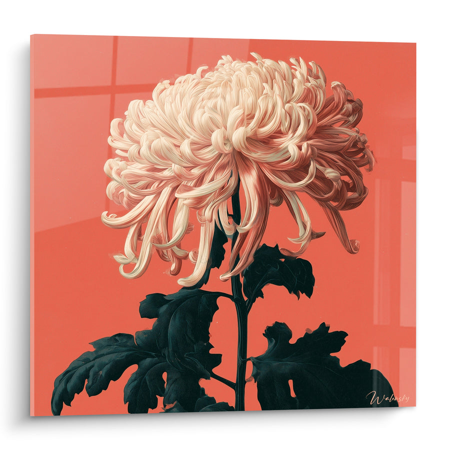 Chrysantheme-Tischbild in Elfenbein und Koralle mit schwarzen Blättern - Fenster im Spiegelbild - Chrysantheme-Edition