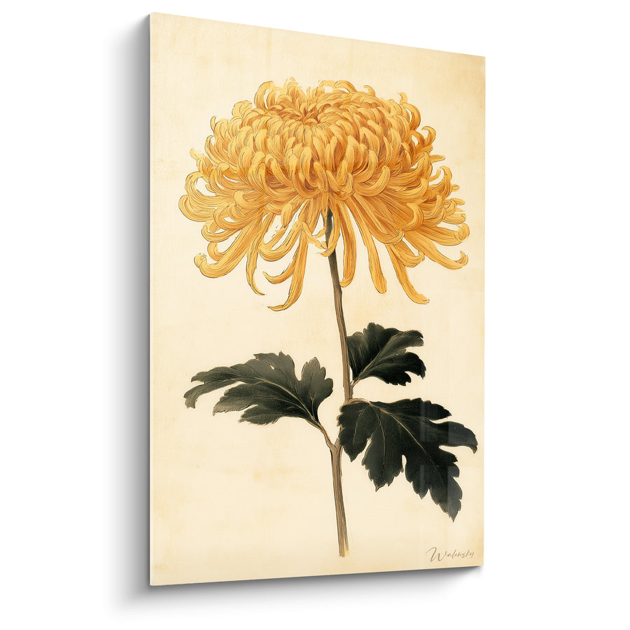 Goldener und grüner Chrysanthemen-Druck mit einzelnem Stiel - Alter botanischer Druck - Chrysantheme Edition