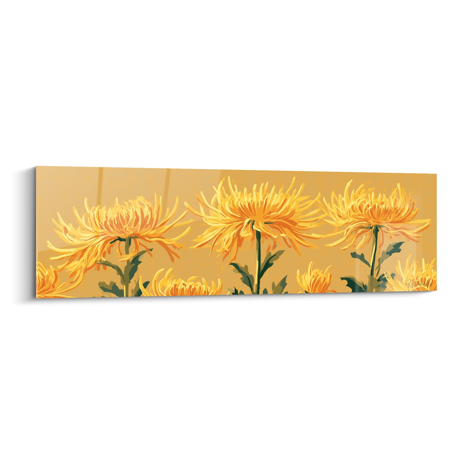 Chrysanthèmes dorés aux pétales effilés, fleurs jaune et orange sur fond ocre panoramique