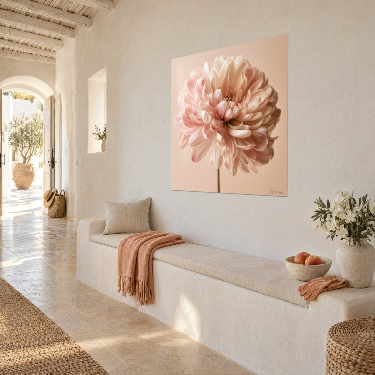 Cuadro flor pompón de pétalos marfil matizados en rosa empolvado, tallo verde, pared encalada blanca, banco de piedra