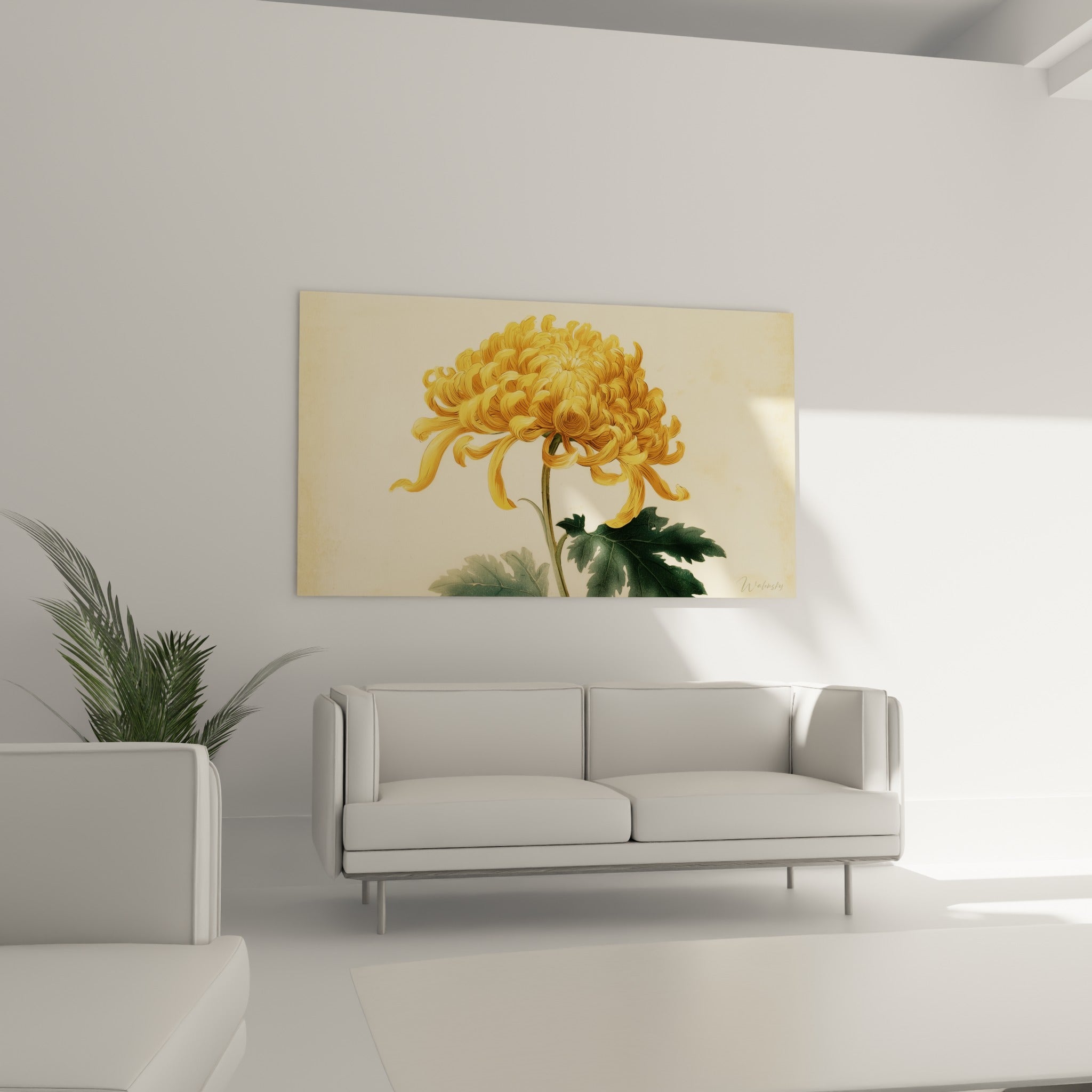 Pétales dorés du chrysanthème déployés sur fond ivoire, au-dessus d'un canapé dans un salon lumineux