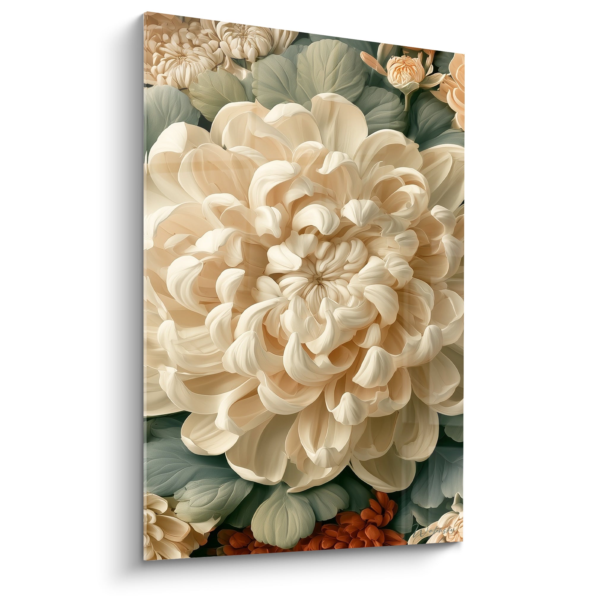 Chrysanthème ivoire aux pétales enroulés et feuilles vert sauge en gros plan botanique