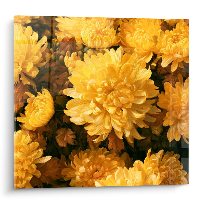 Tableau Chrysanthèmes jaune et brun en massif dense - Feuillage sombre en arrière-plan - Edition Chrysanthème