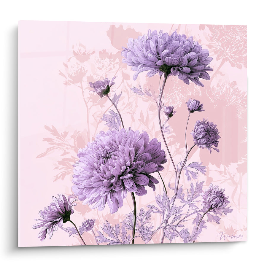 Blumenbild Chrysanthemen Lila auf Puderrosa Hintergrund - Zarte Floralität - Edition Chrysantheme