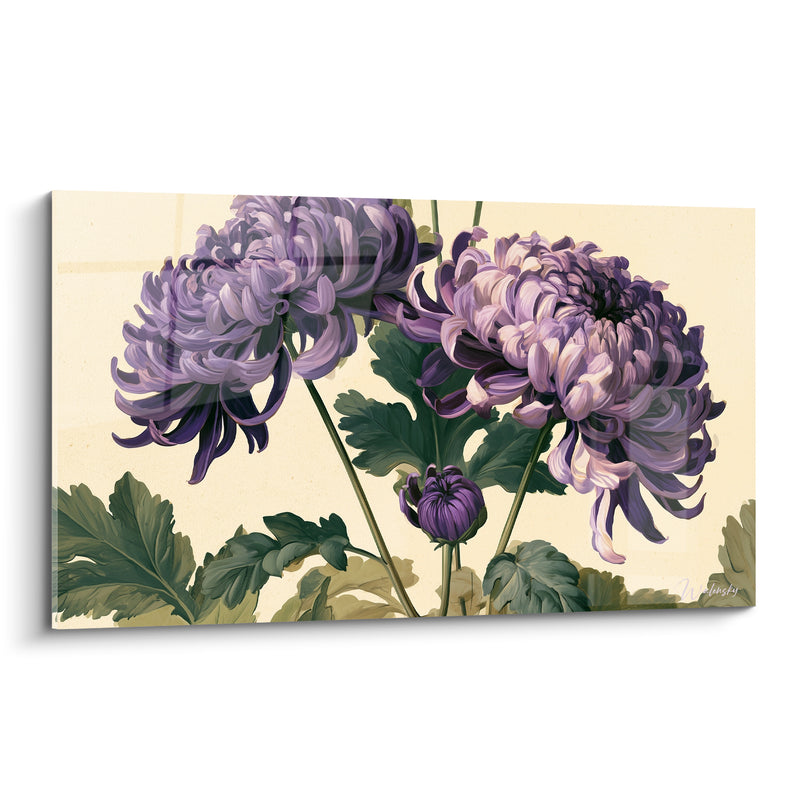 Tableau Chrysanthèmes violets et mauves aux pétales recourbés - Bouton fermé central - Edition Chrysanthème