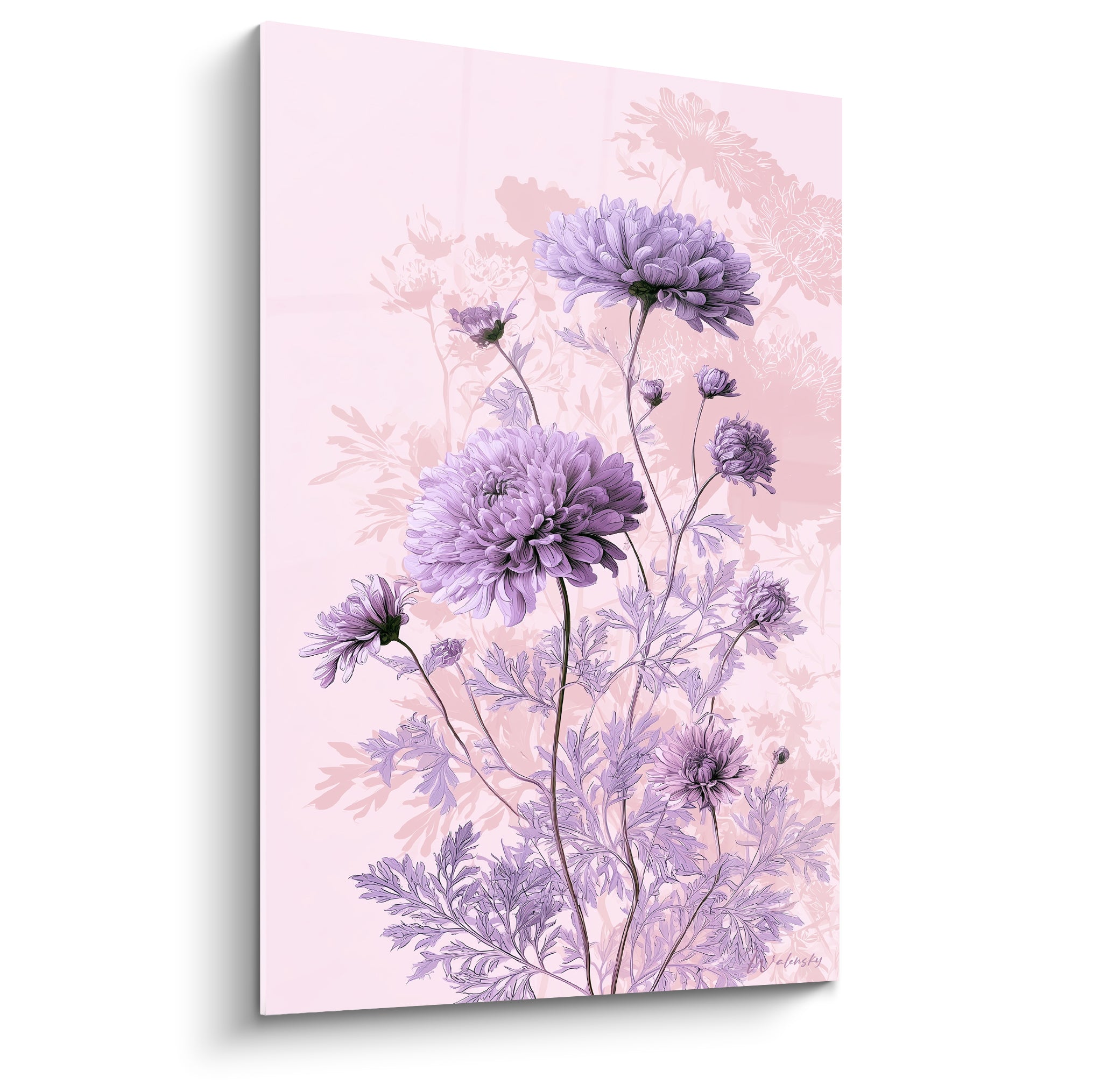 Chrysanthème mauve et violet aux pétales denses sur fond rose poudré, tiges fines élancées