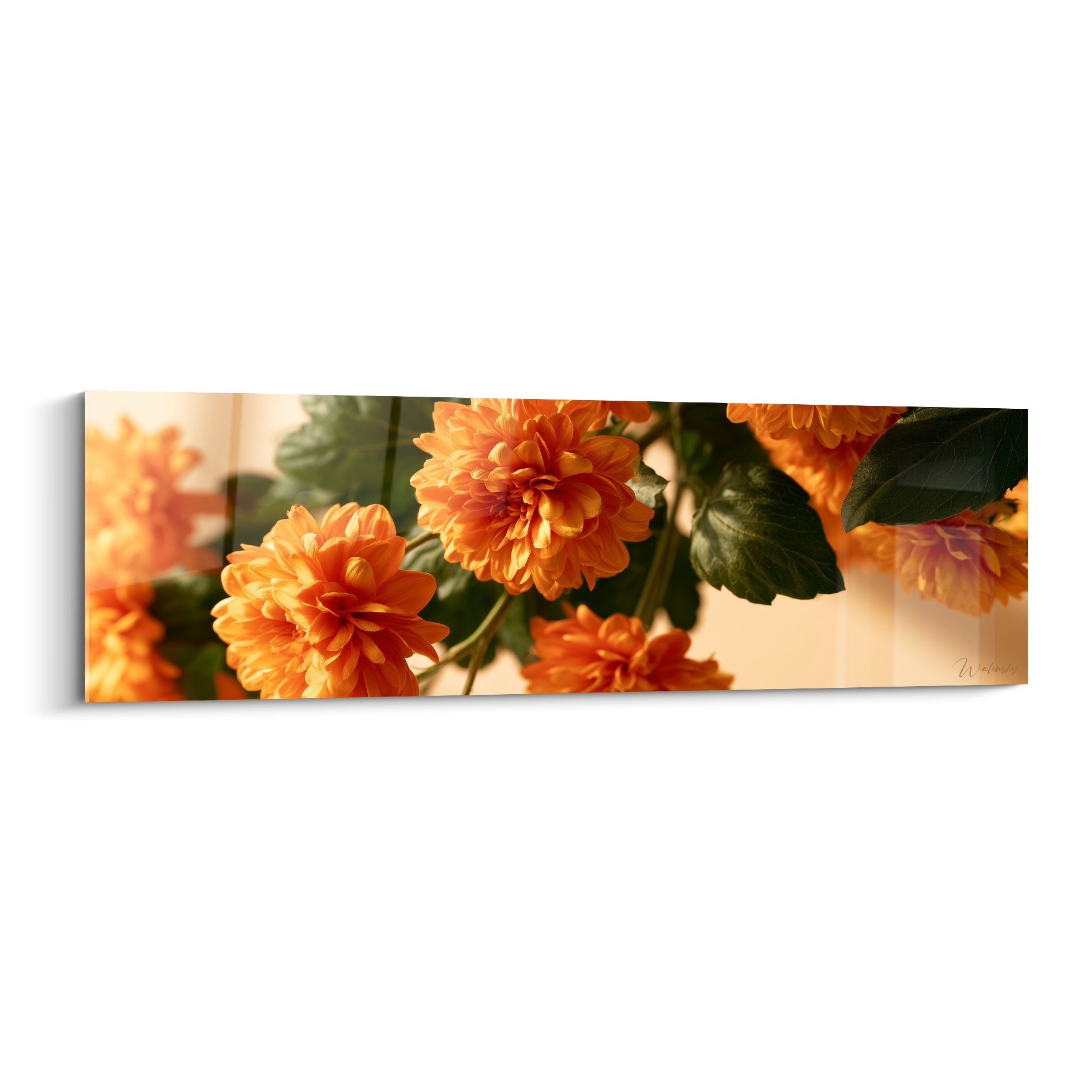 Chrysanthèmes orange aux feuilles vert foncé, pétales denses éclairés par une lumière douce