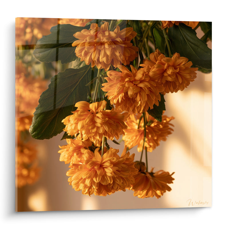 Tableau Chrysanthèmes orangés aux feuilles vert sombre - Lueur d'automne - Edition Chrysanthème