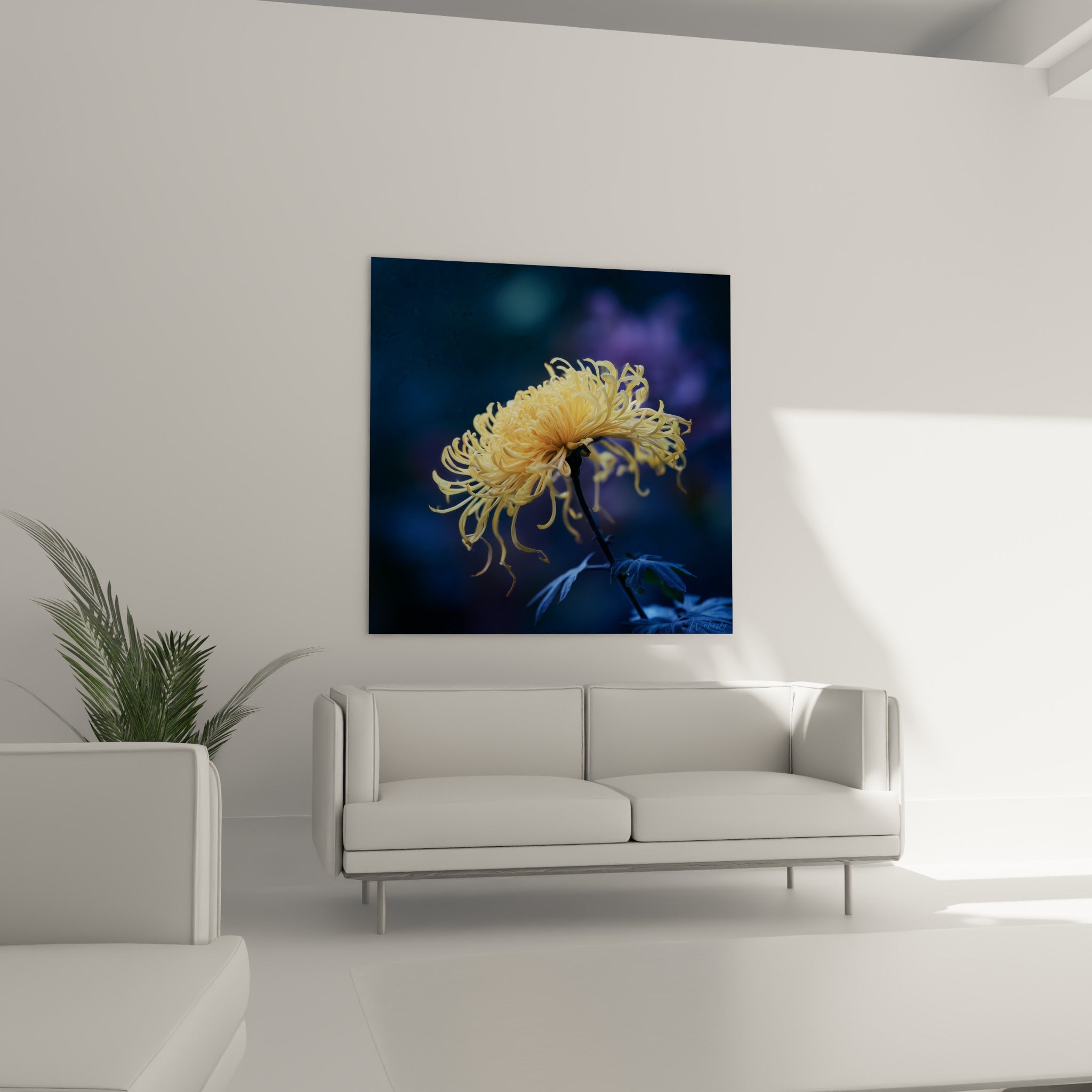 Pétales incurvés d'un chrysanthème jaune sur fond bleu nuit, disposés au-dessus d'un canapé dans un salon lumineux