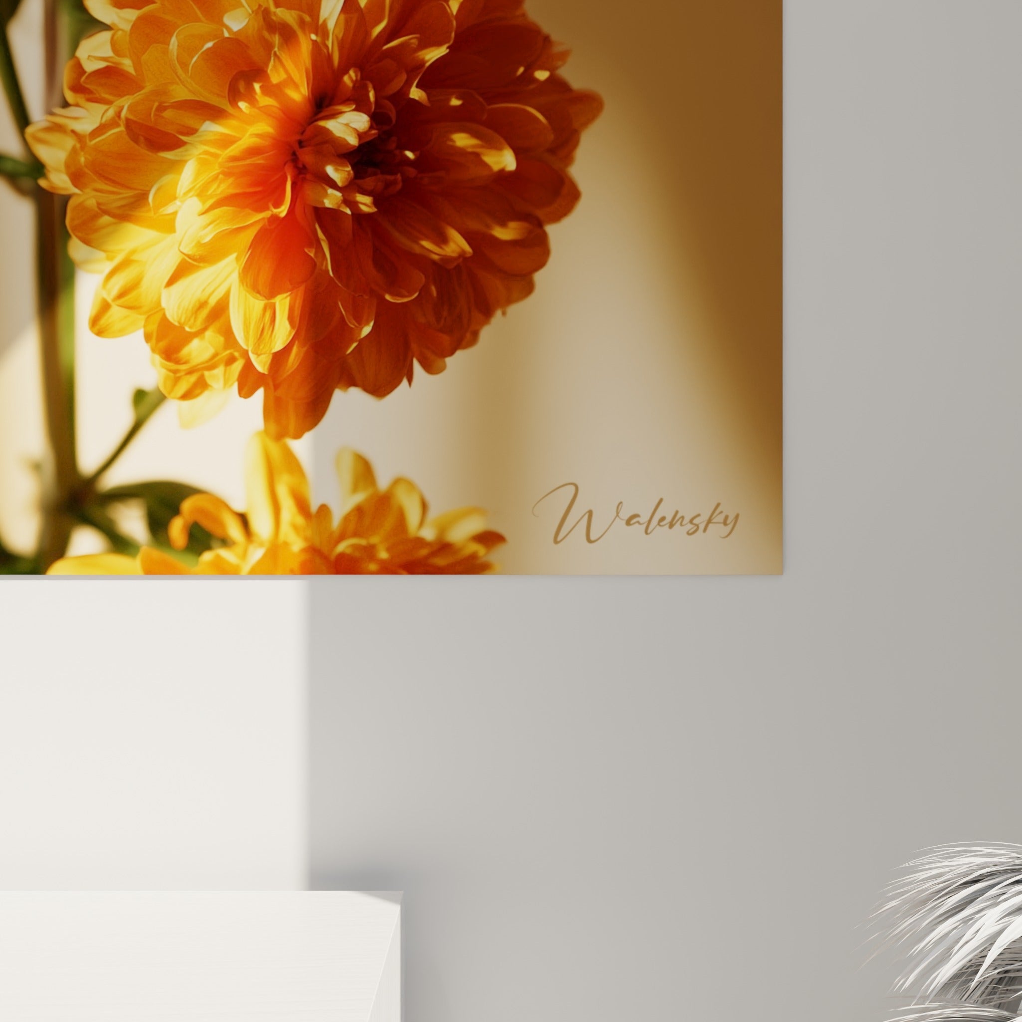 Pétales denses orange et jaune doré du chrysanthème, texture serrée visible en angle rapproché