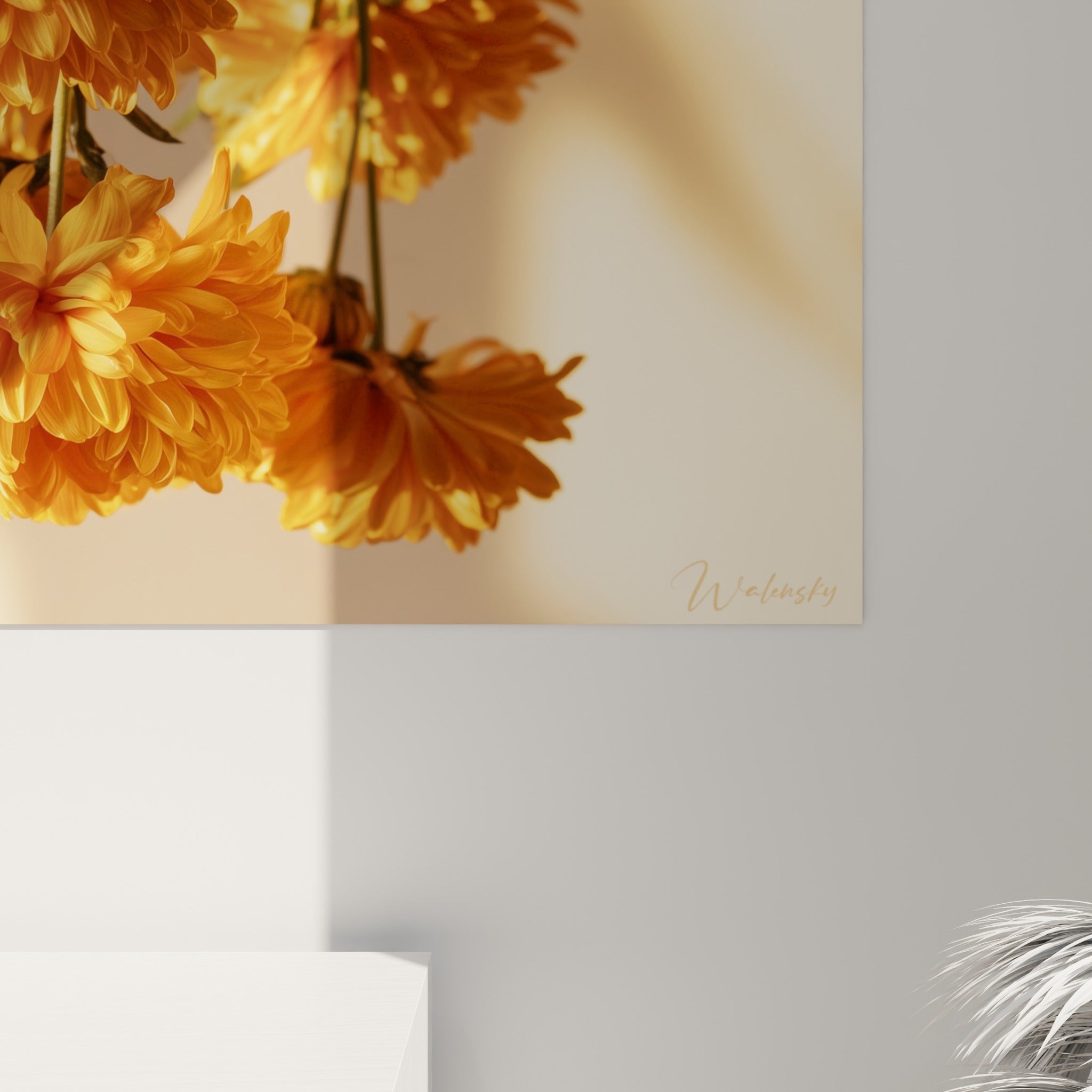 Pétales de chrysanthème orangé aux textures frisées, lumière chaude glissant sur le grain de l'impression