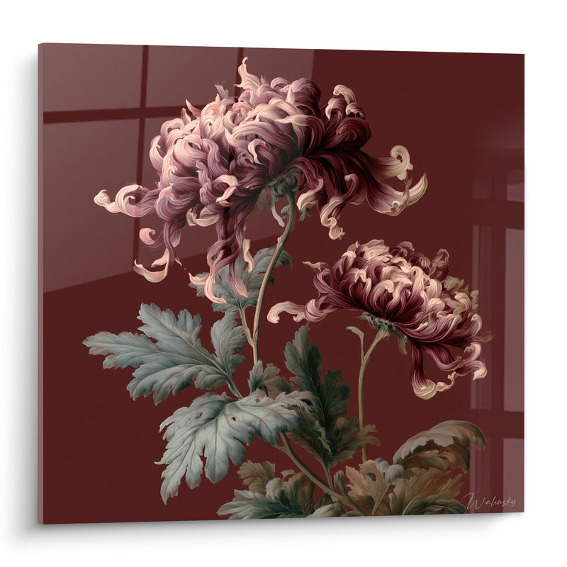 Tableau Chrysanthèmes roses aux pétales bouclés - Danse veloutée - Edition Chrysanthème