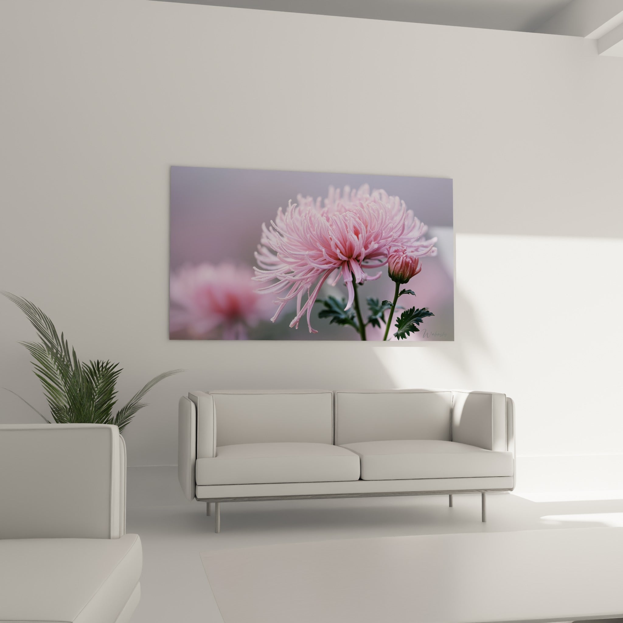 Corolle rose pâle du chrysanthème contrastant avec un feuillage vert sombre, au-dessus d'un canapé dans un salon lumineux