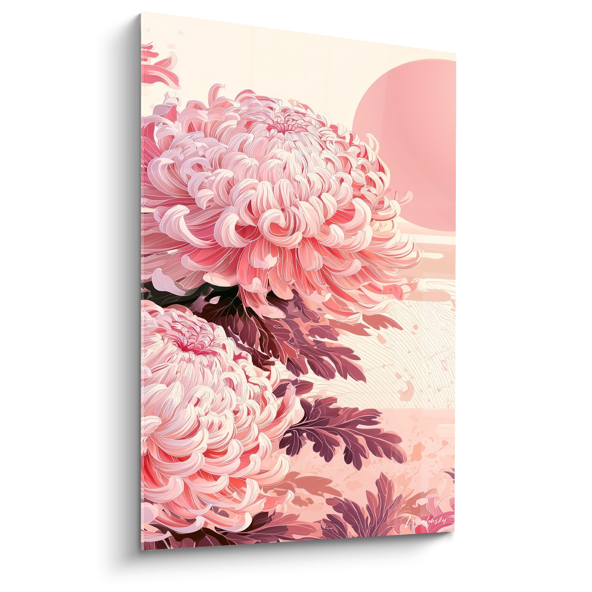 Chrysanthèmes roses aux pétales enroulés devant un disque rosé, style japonais raffiné