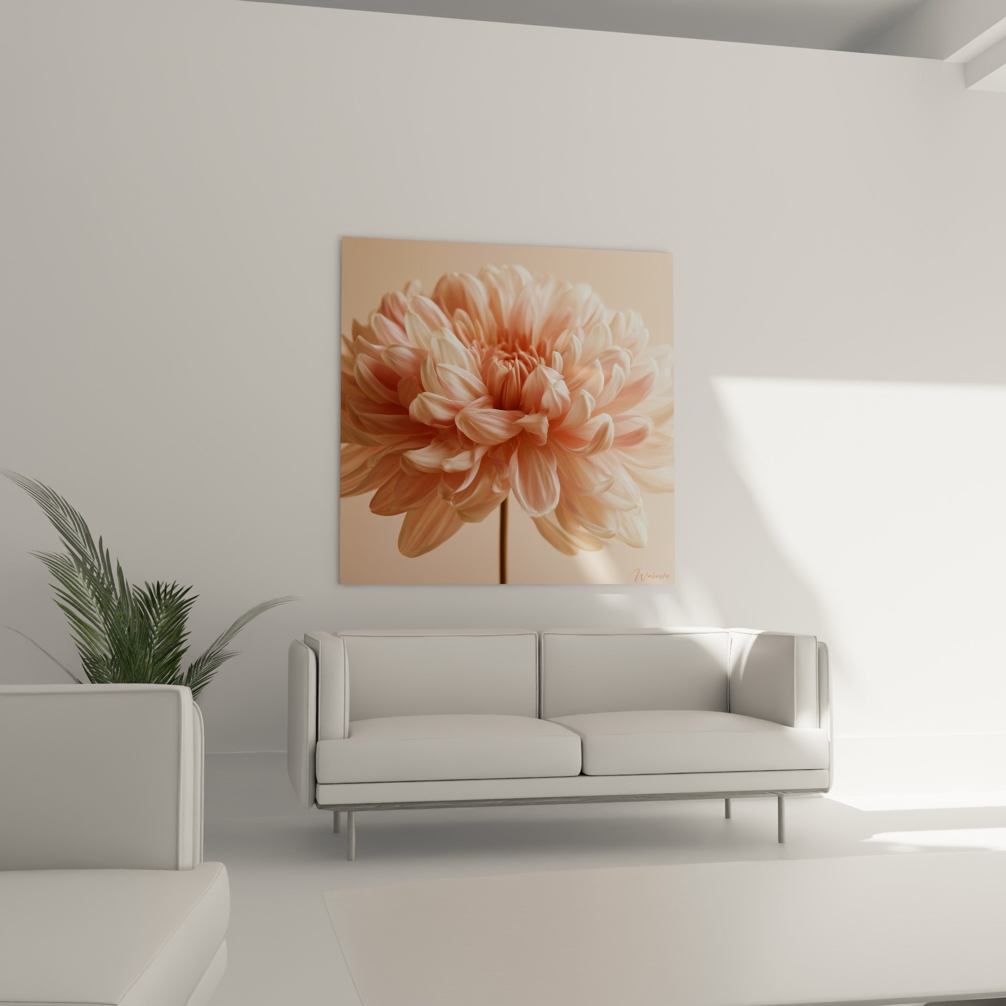 Fleur de chrysanthème rose poudré et beige aux textures fines au-dessus d'un canapé dans un salon lumineux