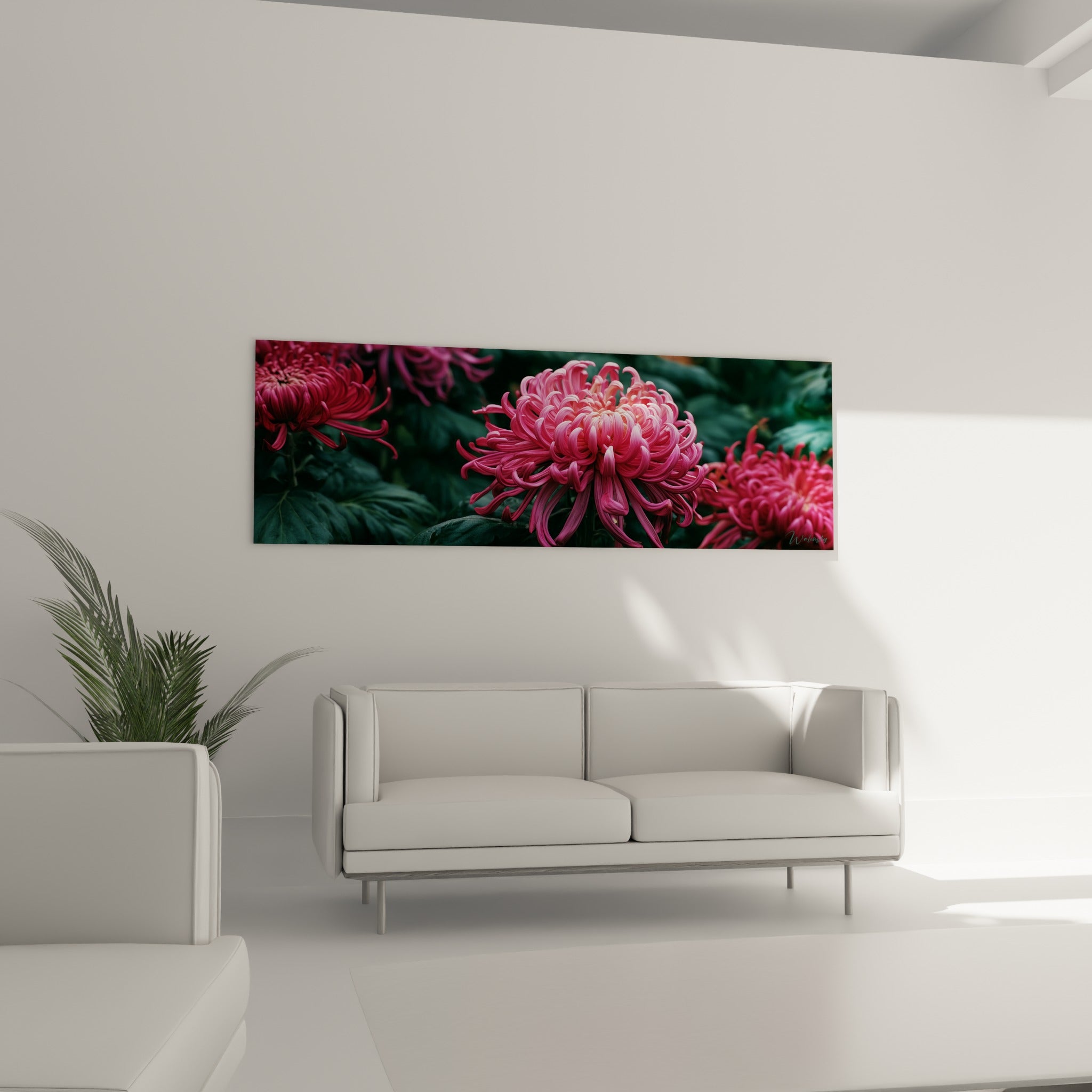 Fleur de chrysanthème rose et feuillage vert intense, au-dessus d'un canapé dans un salon lumineux