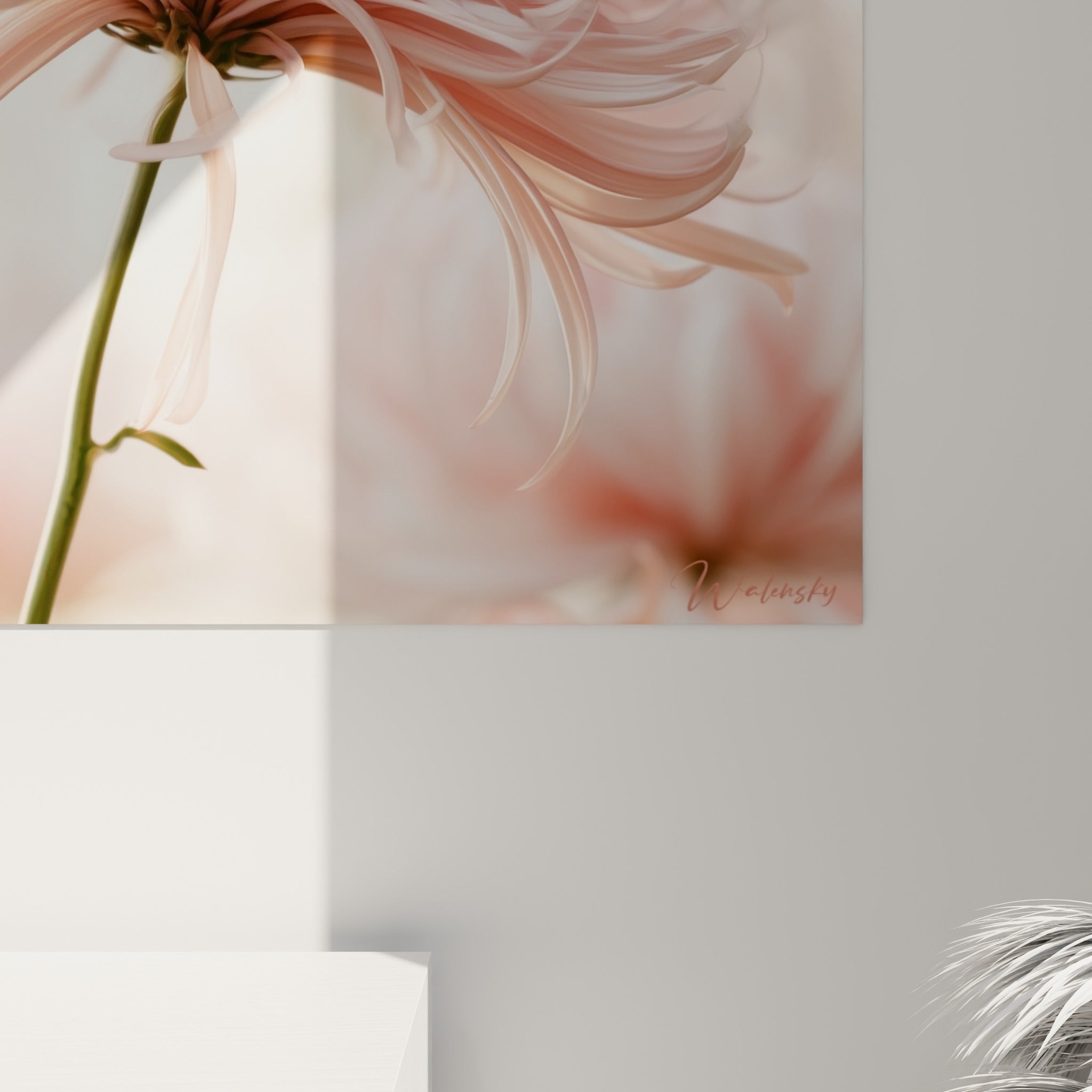 Grain soyeux des pétales roses et blancs du chrysanthème visible en gros plan sur la toile