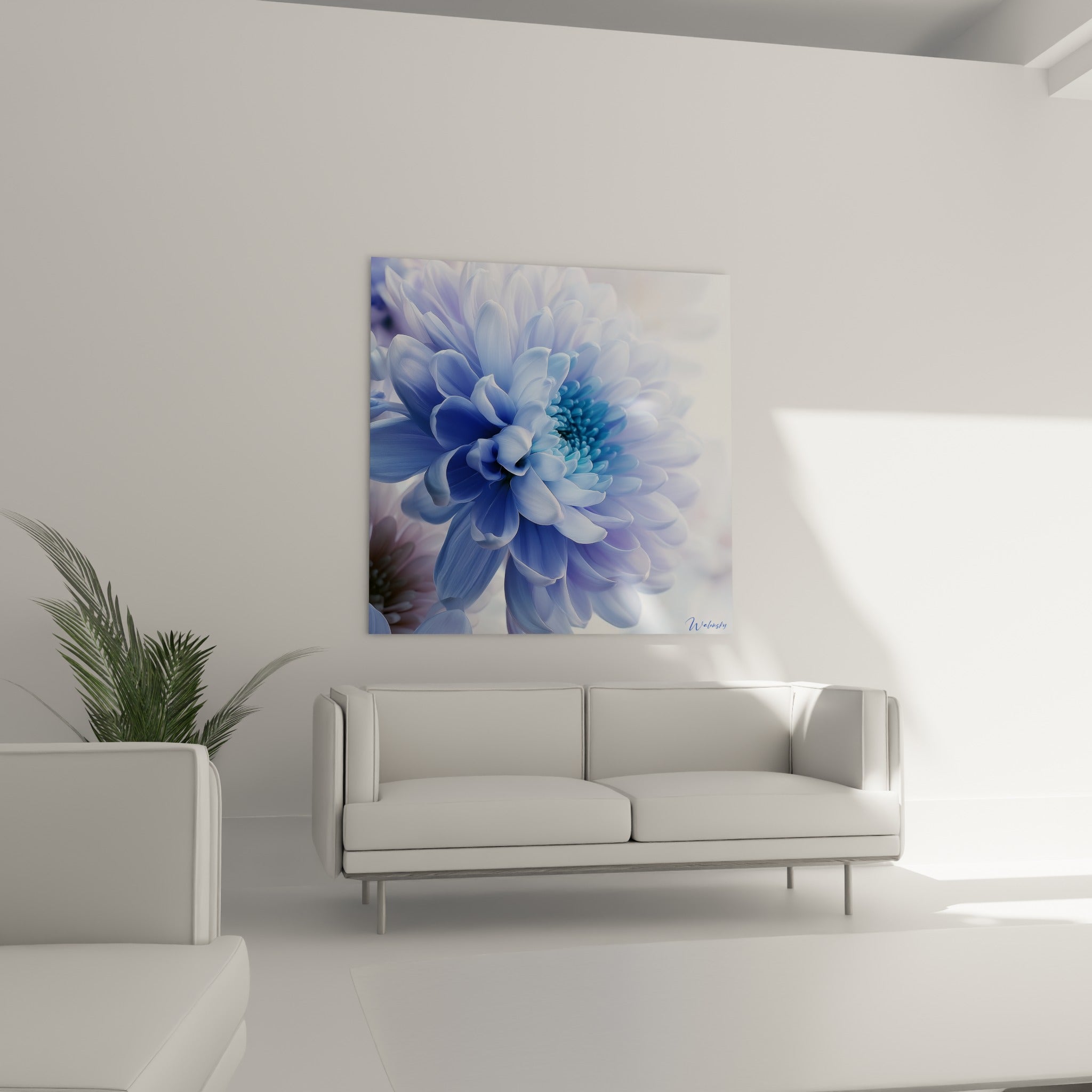 Pétales bleu pastel et cœur turquoise du chrysanthème, suspendus au-dessus d'un canapé dans un salon lumineux