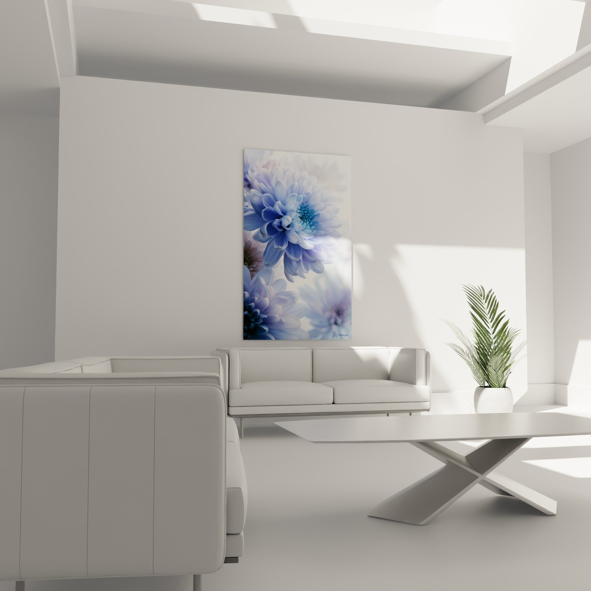 Chrysanthème turquoise et bleu pastel aux corolles vaporeuses, au-dessus d'un canapé dans un salon lumineux